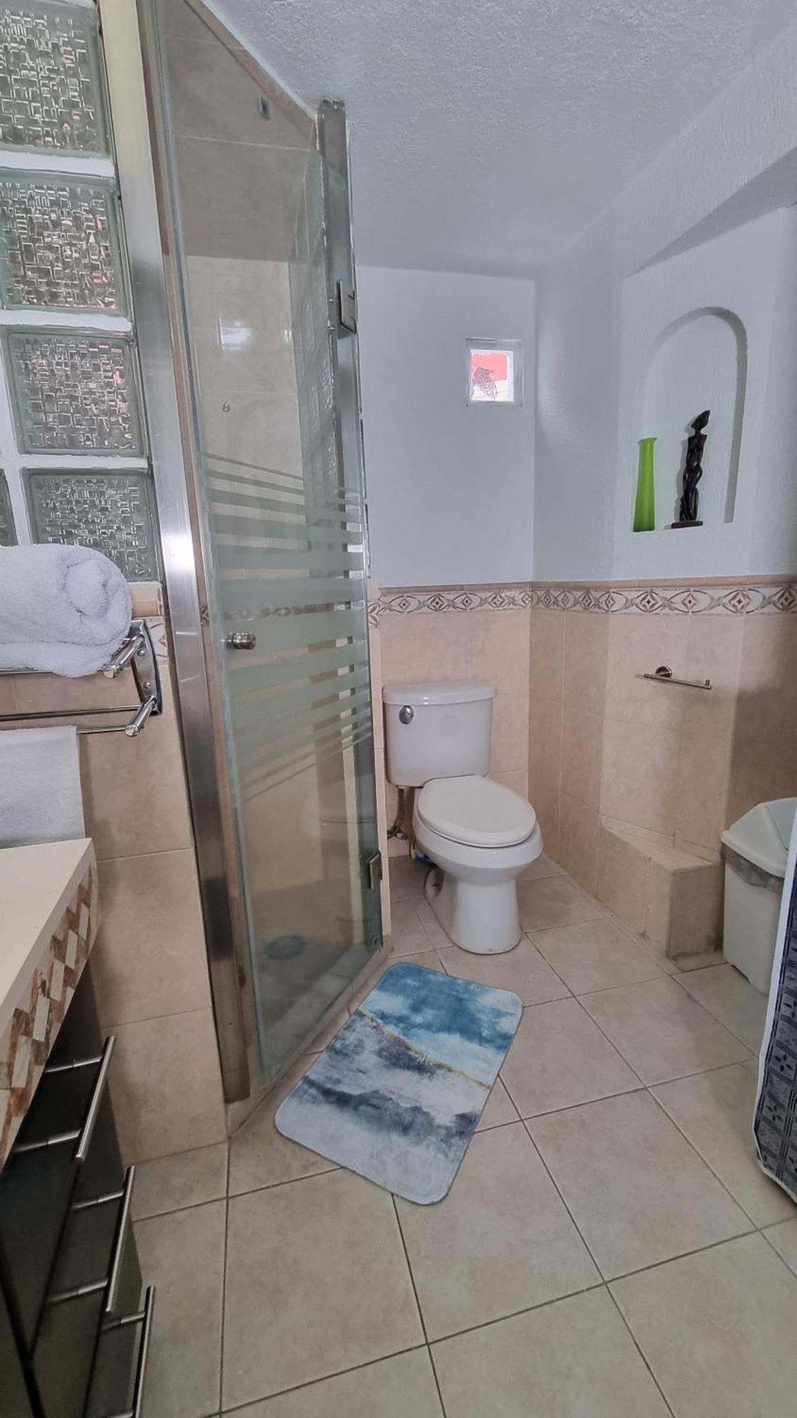 Departamento Centrico, Amplio Y Nuevo Cerca Del Aeropuerto Y Gnp-foro Sol Apartment